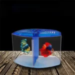 mini aquarium double combattant 3l