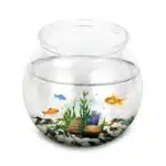 nano-Petit-Aquarium-Rond-10L-plastique