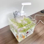 nano aquarium 4l carré avec filtre et lampe LED