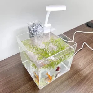 nano aquarium 4l carré avec filtre et lampe LED