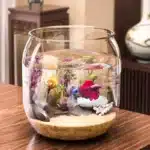 nano aquarium rond 10l combattant