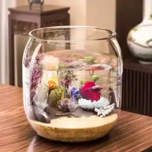 nano aquarium rond 10l combattant