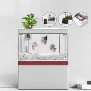 petit aquarium 3l combattant avec eclairage led
