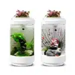 petit-aquarium-4l-blanc-poisson-avec-filtre-cadeau