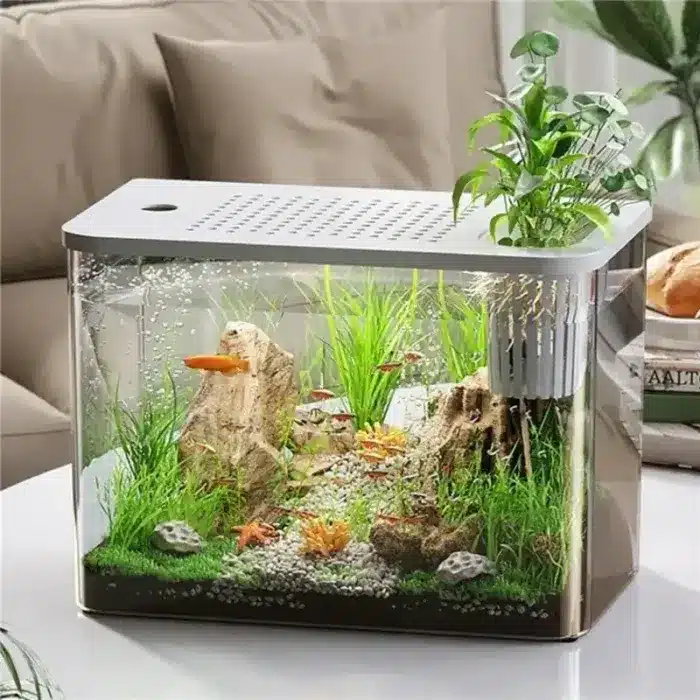 quel aquarium choisir petit format avec couvercle