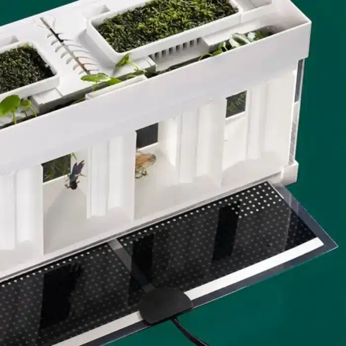 petit-aquarium-betta-14l-avec-chauffage