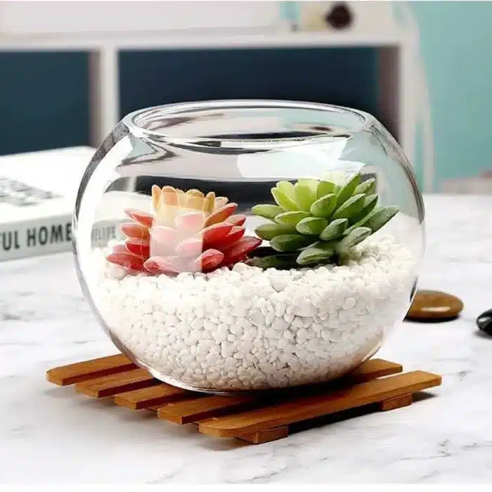 petit-aquarium-boule-2l-en-verre-decoration