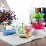 petit aquarium boule 2l en verre lot de 3