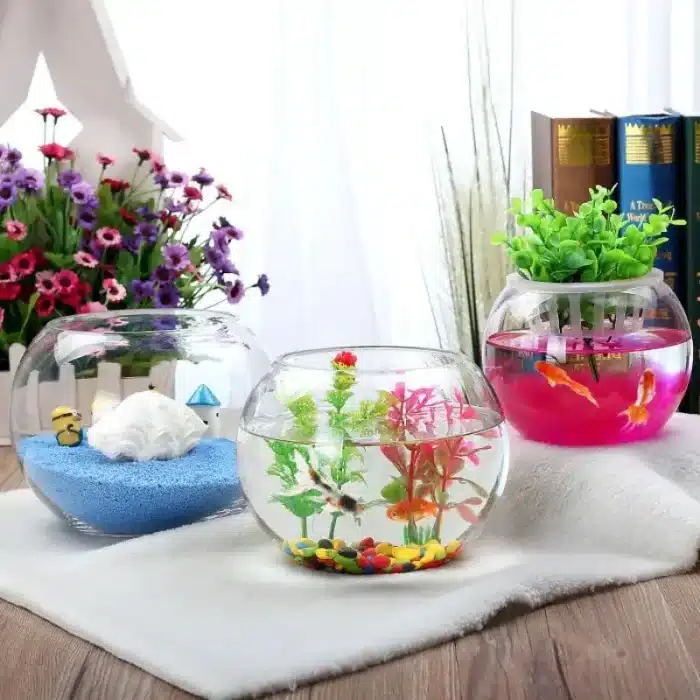 petit aquarium boule 2l en verre lot de 3