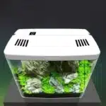 Petit Aquarium Crevette Débutant 5L