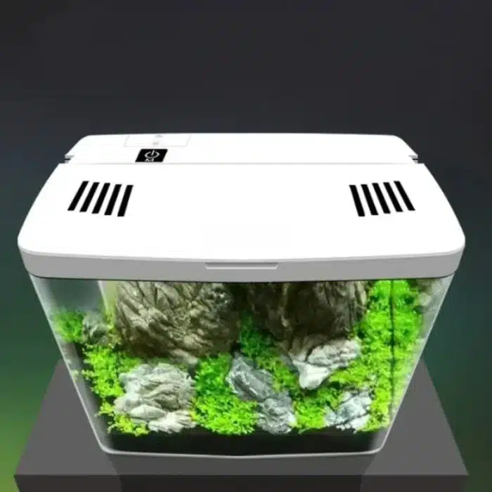 Petit Aquarium Crevette Débutant 5L