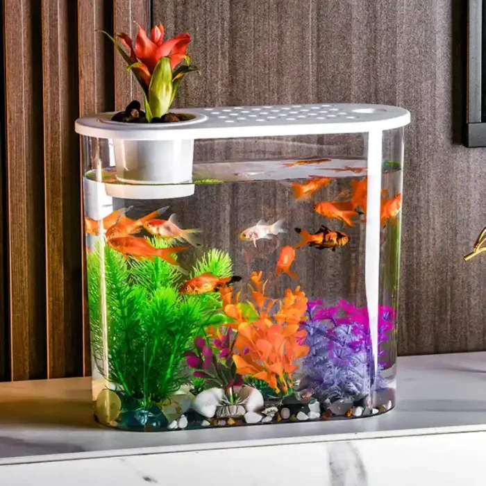 Petit Aquarium en Plastique pour Poisson 10L