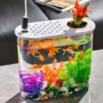 petit-aquarium-en-plastique-pour-poisson-10l-avec-couvercle-blanche