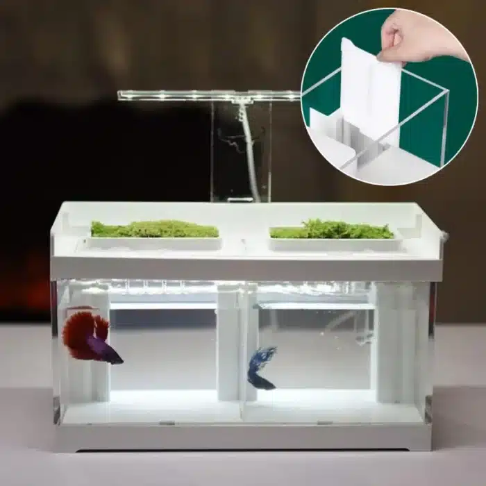 Petit Aquarium pour Combattant 14L avec Séparation et éclairage LED