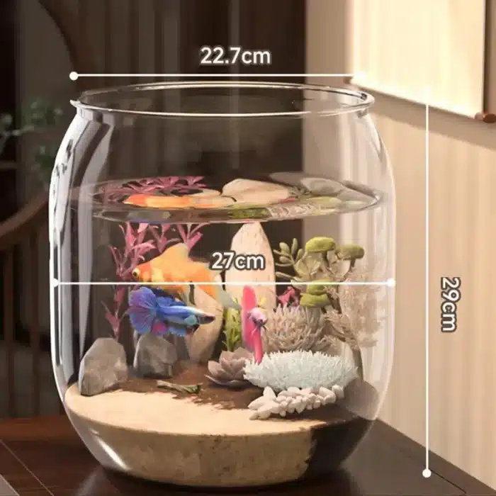 petit aquarium rond 10l plastique