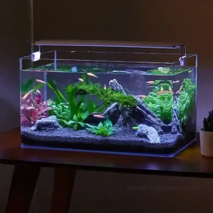 Quel petit aquarium choisir en verre