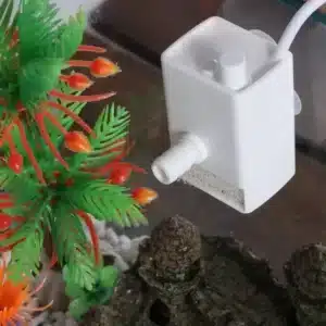 Petite Pompe a Eau Aquarium 20L