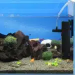 pompe-filtre-aquarium-100l-poissons-20w-puissant
