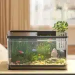 pot pour plante aquarium plastique