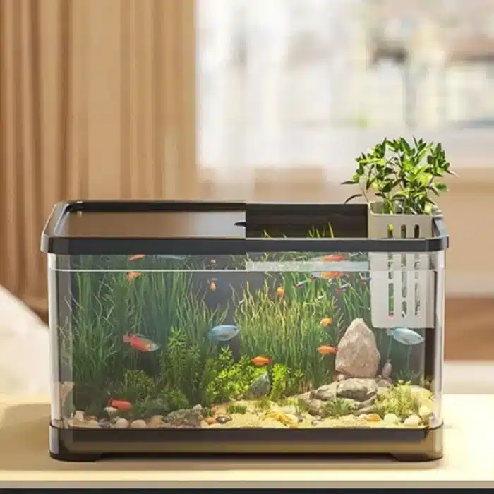 pot pour plante aquarium plastique