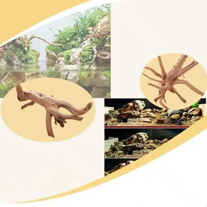 Quel racine pour un nano aquarium crevette 30L artisanale 