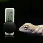 thermometre-reptile-digitale-a-ventouse