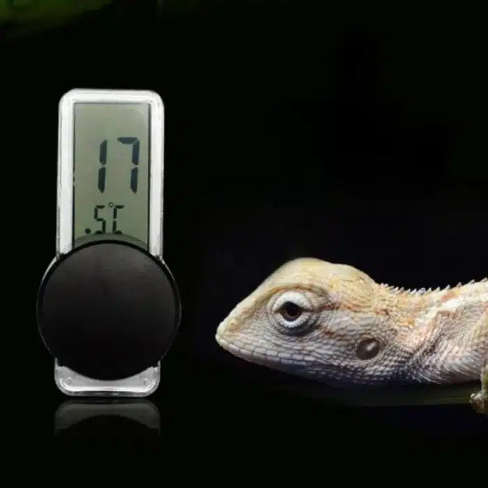 thermometre-reptile-digitale-a-ventouse