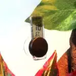 Thermometre Reptile Numerique a Ventouse