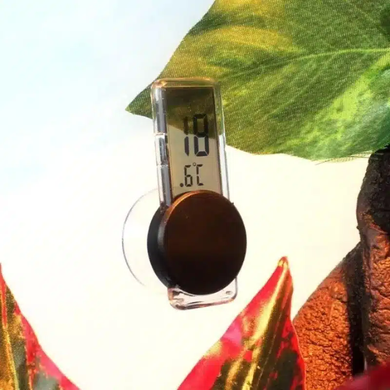 Thermometre Reptile Numérique à Ventouse