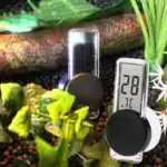 thermometre terrarium-reptile-numerique