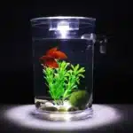 tout petit aquarium betta 2l auto nettoyant