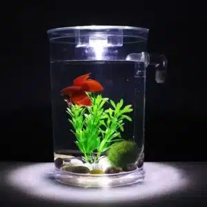 tout petit aquarium betta 2l auto nettoyant