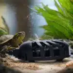 Chauffage-Tortue-Aquatique-100-W-Immerge-mini-bac