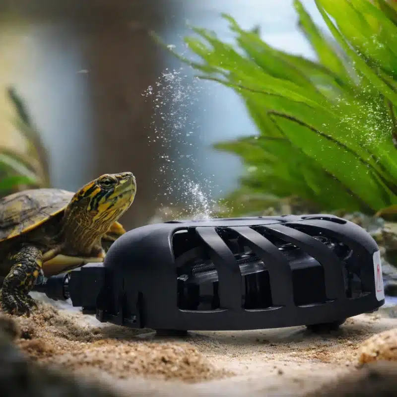 Chauffage Tortue Aquatique 100 W Immergé