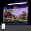 Eclairage LED pour Aquarium Planté avec UV