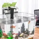 Filtre-UV-Aquarium-60L-Externe-5W-poissons