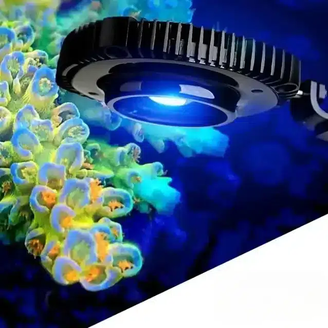 Quel Eclairage LED pour Aquarium Recifal avec ventilateur