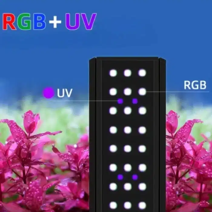 Sb0f6e3c55dc14d24bb7056dca3a23ff_cleanup Cropped copie (2)