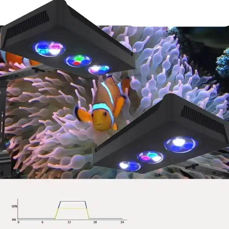 Quel Eclairage pour Aquarium 60L Bien Planter regulier