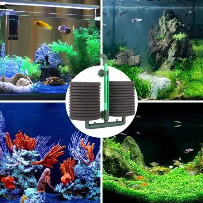 Quel Filtre Interieur pour Aquarium 60L avec Crevettes et Poissons : le Bon Choix
