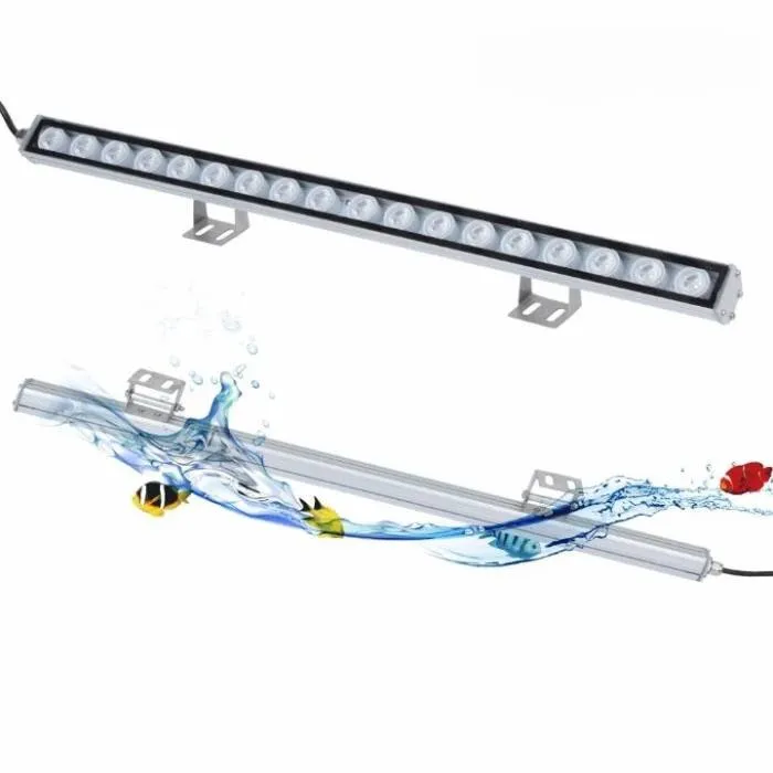 Quel Eclairage LED pour Aquarium Recifal poissons