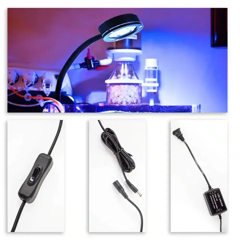 Quel Eclairage LED pour Aquarium Recifal avec spectre bleu