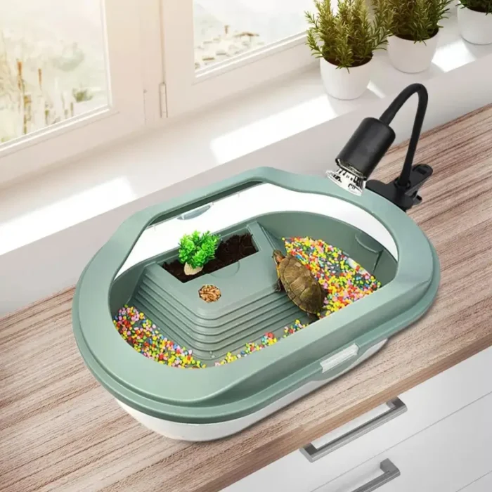 mini tortue aquarium de 10l