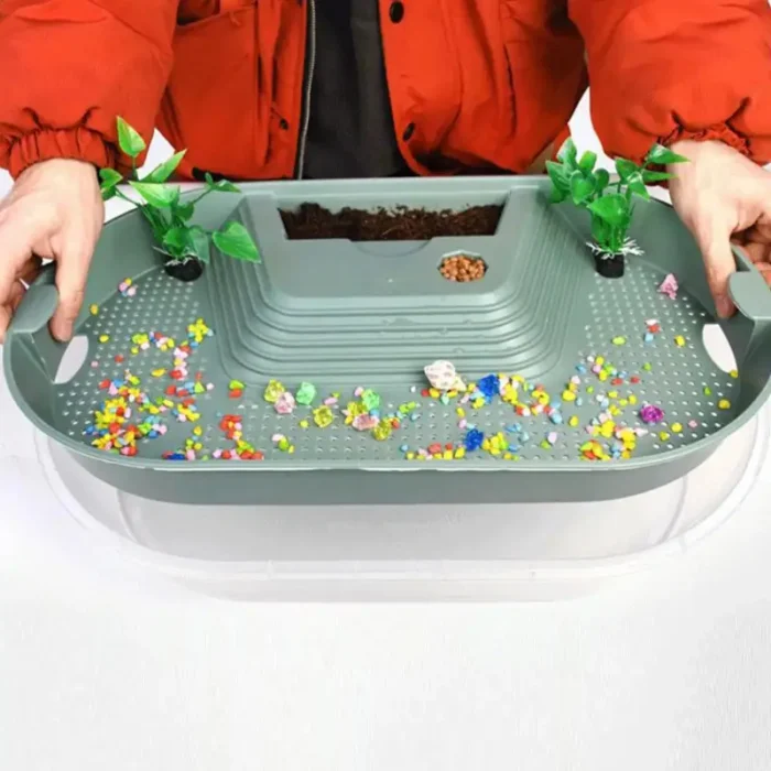 mini tortue d'eau aquarium 10l