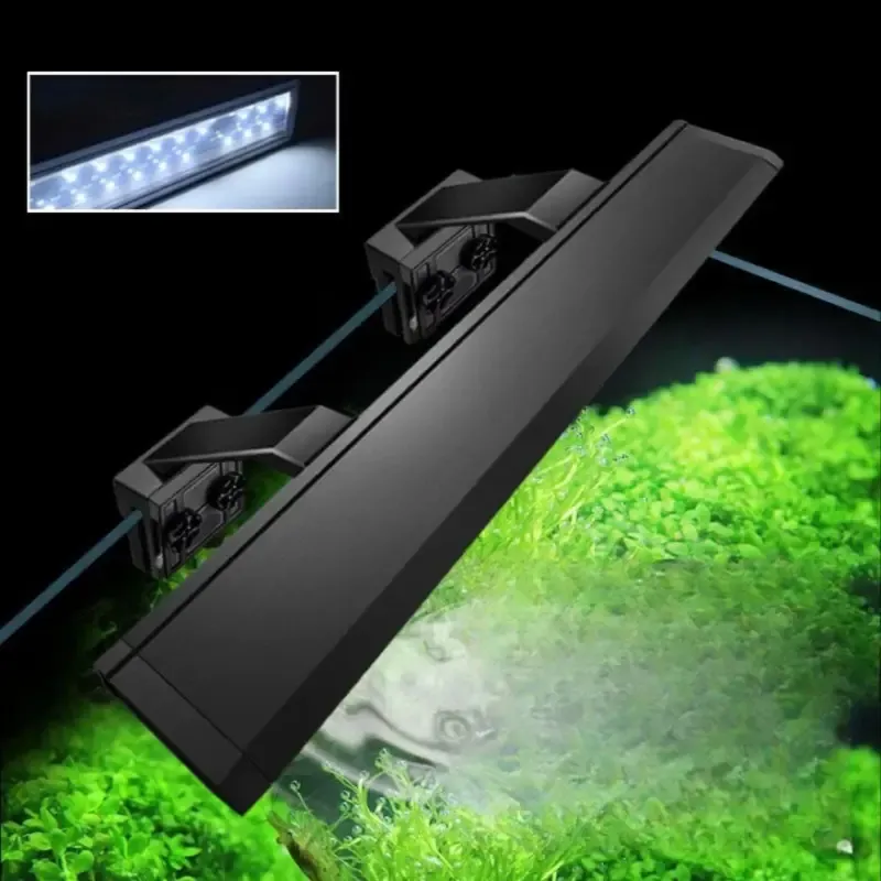 Quel Eclairage LED Aquarium 100 Litres 200 lumes