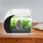 Nano-Aquarium-Crevette-en-Verre-de-30L-led
