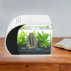 Nano-Aquarium-Crevette-en-Verre-de-30L-led