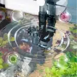 Sa54c6e2544e04a9ea4bec34bff734a4_cleanup (2)