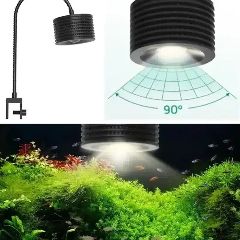 Quel eclairage pour aquarium 40L nano est vraiment adapté