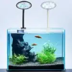 lampe-nano-aquarium-30l-poissons